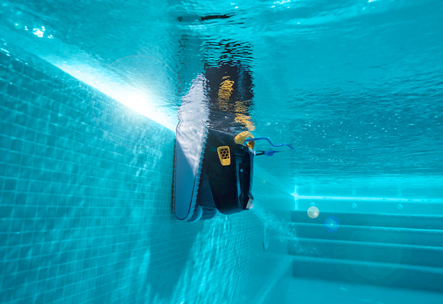 Dolphin Poolroboter reinigt eine Poolwand